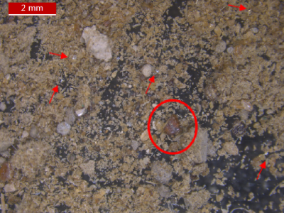 掺假鱼粉配方大曝光！买这样的鱼粉500吨，直接经济损失超过154万元！专家团队还原了掺假配方