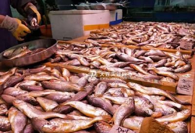 全国禁渔来了！海鲜最高涨10元/斤！新一轮鱼价暴涨潮来了吗？
