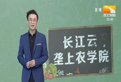 垄上农学院 2020-04-24