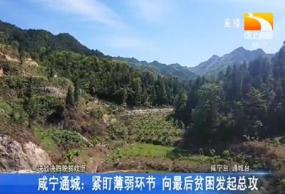 咸宁通城: 紧盯薄弱环节 向最后贫困发起总攻