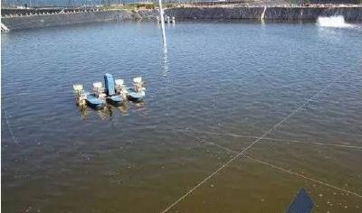 高温正在袭来，一定要做好这些蟹池管理措施