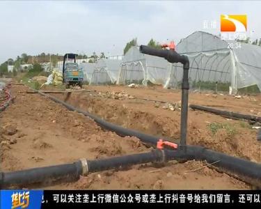 十堰加大设施投入 引进太空莱助农增收