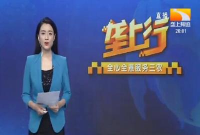 垄上行 2020-05-23