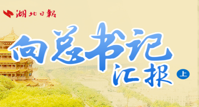 向总书记汇报（上）