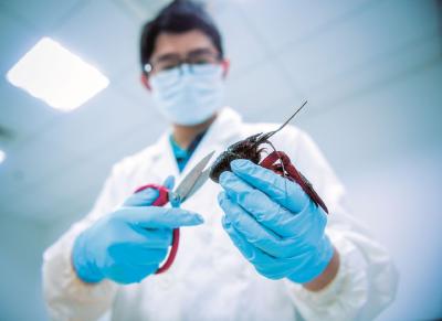 小龙虾放心吃，一季度湖北食品抽检合格率近99%