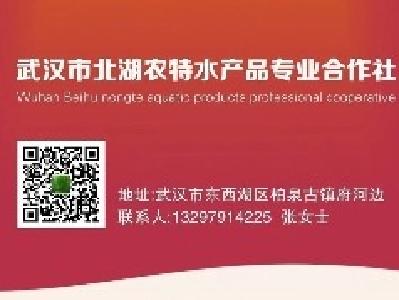 《武汉活鱼》农村水产电商有关单位（企业）推介之5：武汉市北湖农特水产品专业合作社