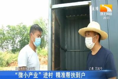 “微小产业”进村 精准帮扶到户