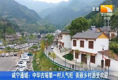 咸宁通城：中华古瑶第一村人气旺 美丽乡村游受欢迎