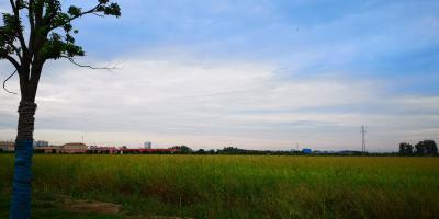 黑斑蛙林蛙鳄鱼到底能不能养？国家林业和草原局最新回复来了！