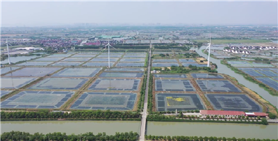 年年被冒充的阳澄湖大闸蟹，今后品牌保障该如何做？