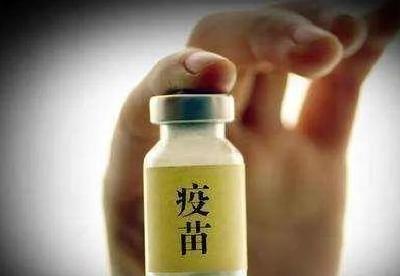 重庆破获全国首例制售假冒非洲猪瘟疫苗案，造成上千万元经济损失
