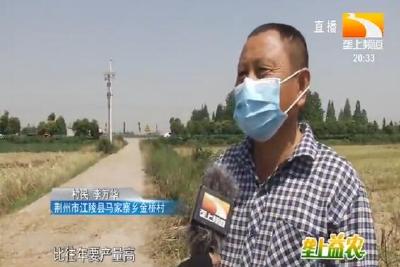 垄上益农 2020-05-25