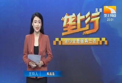 垄上行 2020-05-25