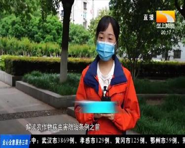 《农作物病虫害防治条例》本月施行 开启依法植保新篇章