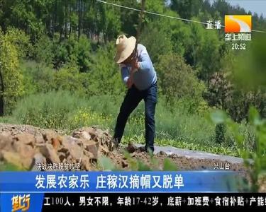 发展农家乐 庄稼汉摘帽又脱单