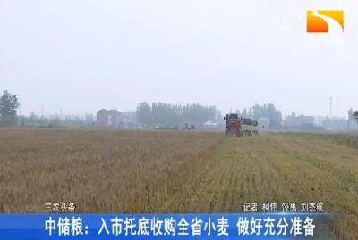 中储粮：入市托底收购全省小麦 做好充分准备
