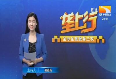 垄上行 2020-05-04