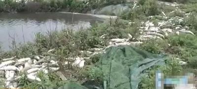 长江中下游可能发生较为严重洪涝灾害，水旱灾害防御形势不容乐观