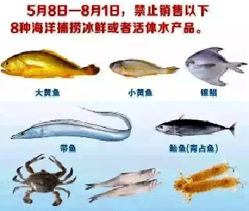 5月8日零点起，带鱼、黄鱼、银鲳等8种活体水产品全面下架！