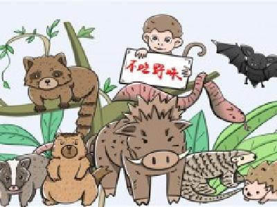 江西率先出台在养禁食野生动物处置意见 