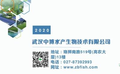 《武汉活鱼》农村水产电商有关单位（企业）推介之23：武汉中博水产生物技术有限公司