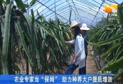 农业专家当“保姆” 助力种养大户提质增效
