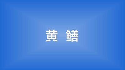 一个网箱可以放多少黄鳝苗？