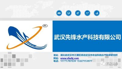 《武汉活鱼》关联企业介绍之43：武汉先锋水产科技有限公司