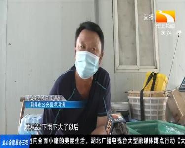 梅雨期 虾塘溶氧营养得跟上