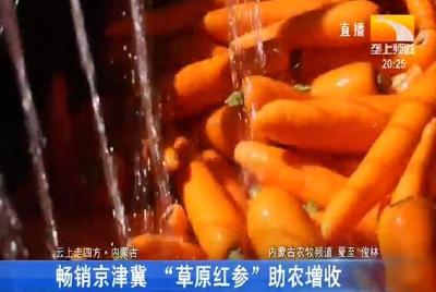 畅销京津冀 “草原红参”助农增收