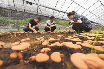 从贫困村到示范村——宜都大溪村的美丽逆袭