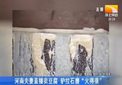 河南夫妻直播卖豆腐 驴拉石磨“火得很”