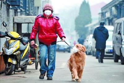 武汉疾控中心专家：抗疫中形成的公共卫生习惯应成规范