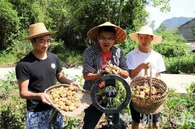 三名大学生为乡亲直播带货卖出3万斤小土豆
