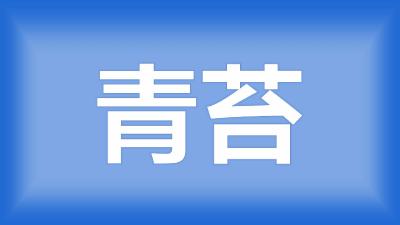 荆州市  陈师傅：水面很多青苔，小龙虾出现不活跃、死亡现象，该怎么办？