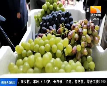 葡萄“脸皮薄” 电商销售要多包裹