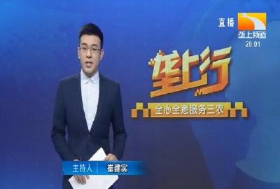 垄上行 2020-06-26