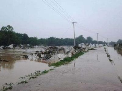 强降雨致8省区176万人受灾是怎么回事？具体是哪些省区？