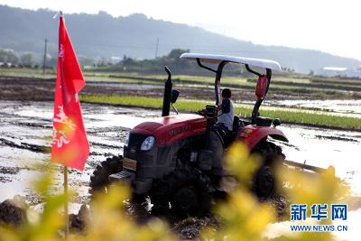 湖北竹溪：小农机解放劳动力 芒种时节不“慌忙”