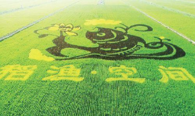 习近平总书记考察贺兰县稻渔空间乡村生态观光园稻香鱼跃大有可为