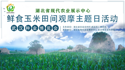 鲜食玉米大会丨终于等到你!6月22日,我们相约在武汉