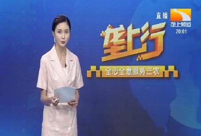 垄上行 2020-06-20