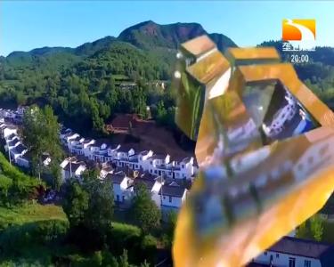 垄上行 2020-06-29