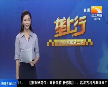 荷塘套养鱼虾 节本增效