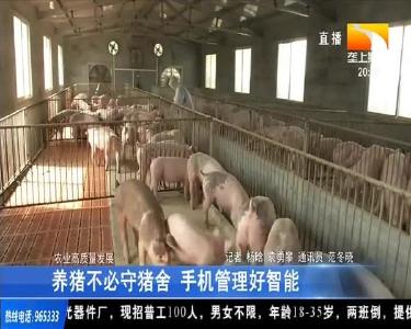 养猪不必守猪舍 手机管理好智能