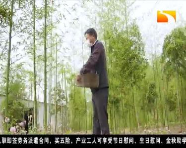 打好脱贫“组合拳” “穷窝子”变美丽乡村