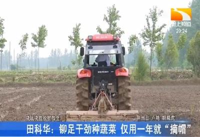 田科华：铆足干劲种蔬菜 仅用一年就“摘帽”