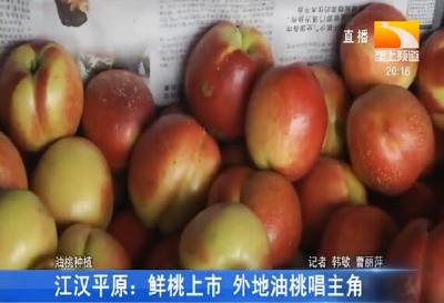 江汉平原：鲜桃上市 外地油桃唱主角