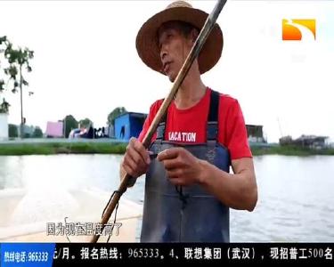 消费需求剧增 武汉小龙虾卖得俏