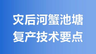 灾后河蟹池塘复产技术要点